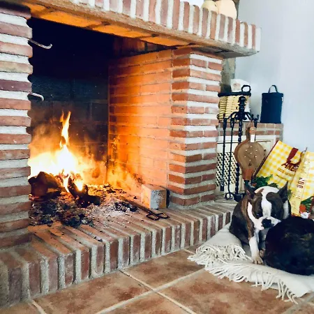 Higuera Santa Ana Ronda