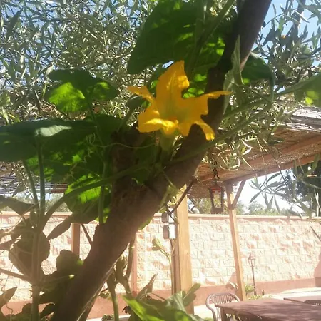 Country house Higuera Santa Ana