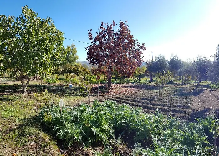 Higuera Santa Ana מלון *