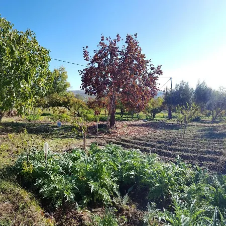 Higuera Santa Ana Casa rural *
